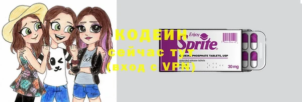 винт Вяземский