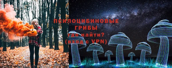 мдпв Володарск